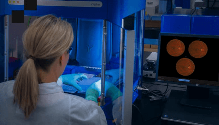 蝶工坊株式会社